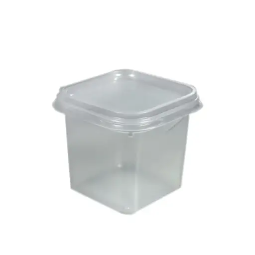 Envase de Plástico Cuadrado Transparente con Tapa 10 Unds GALVANOTEK