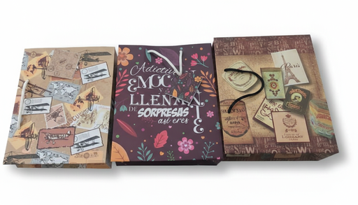 [BOL-MED-GEN-BASE1] Bolsa Mediana Laminada Decorada 22.5x18x10cm Und Triple Diseño